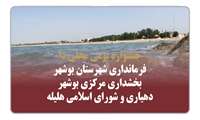 جشنواره بومی محلی دا + ویدئو